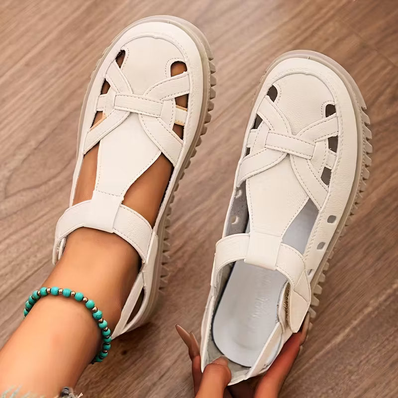 White / 11