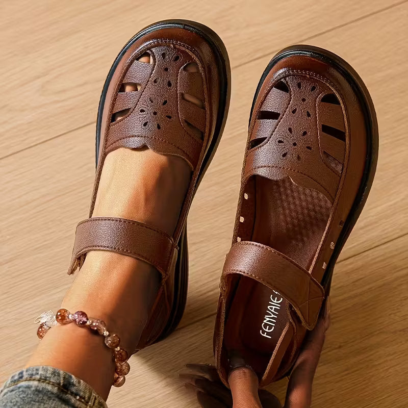 Brown / 11