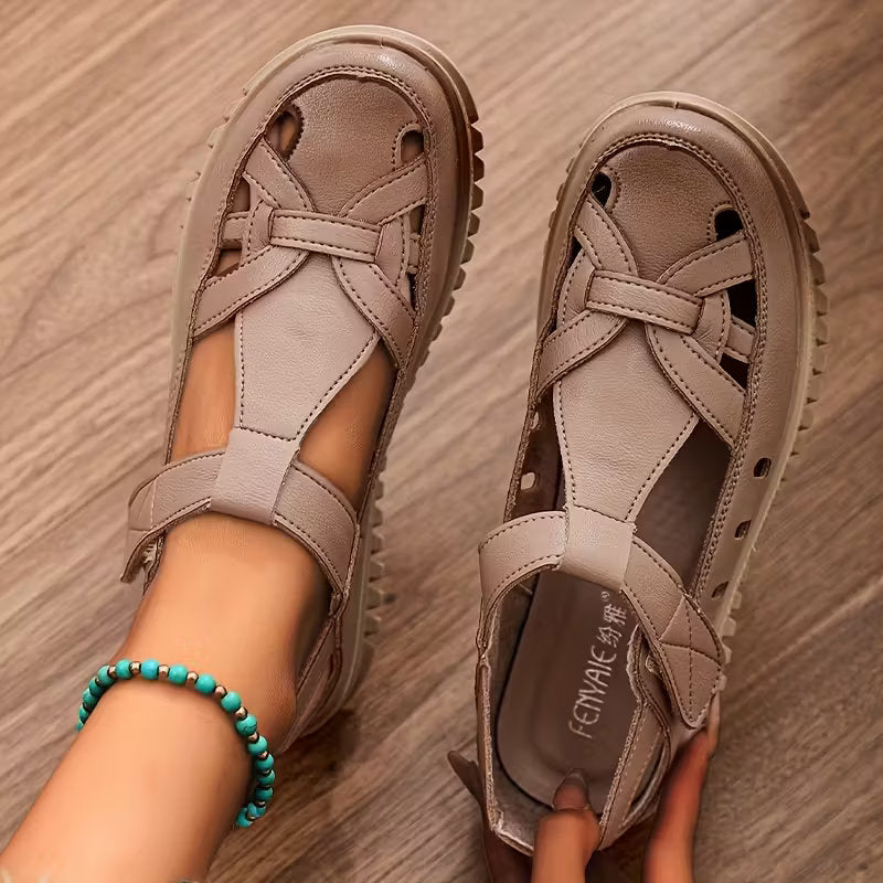 Brown / 11