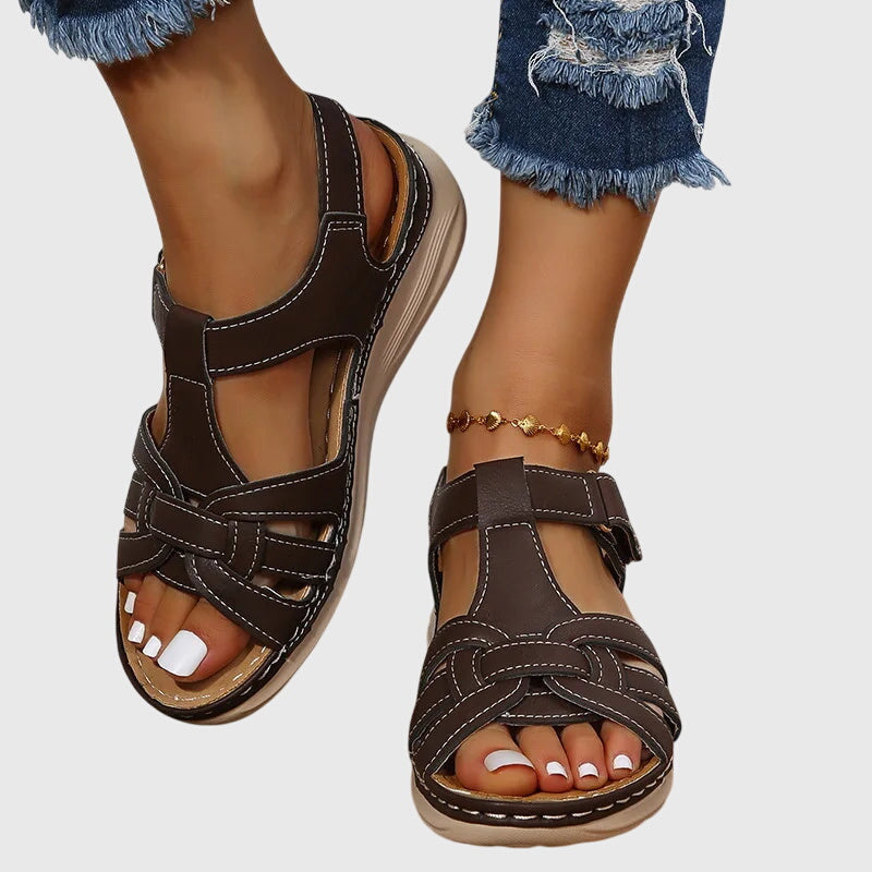Dark Brown / 12