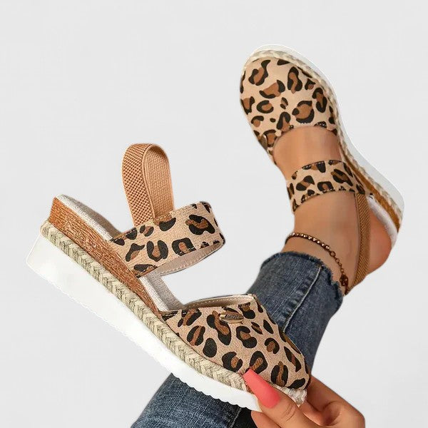 Leopard / 12