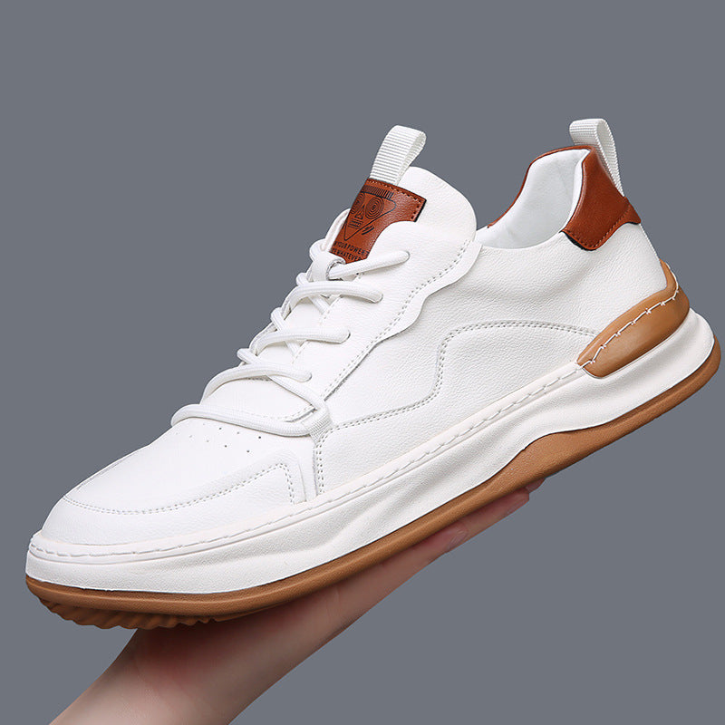White / 13.5