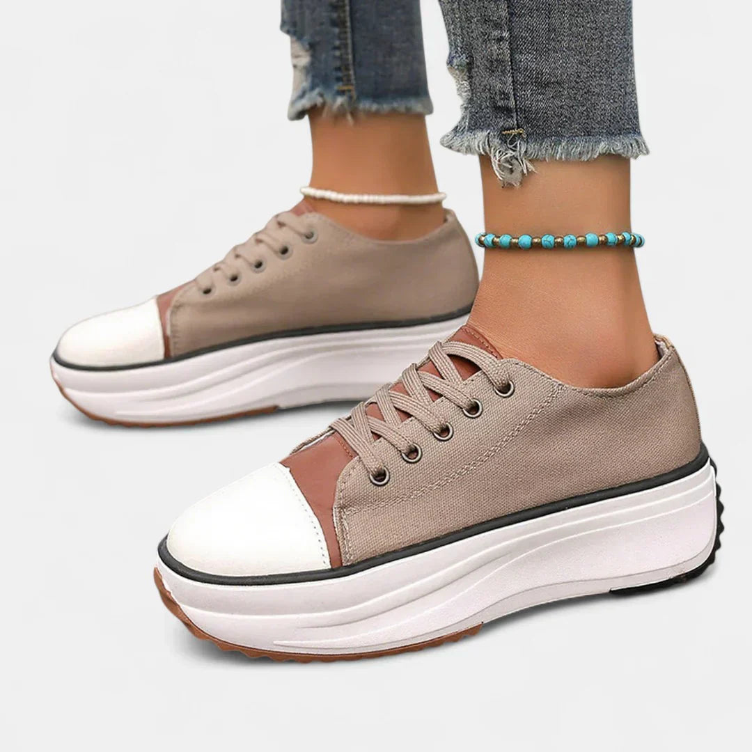 Brown / 12