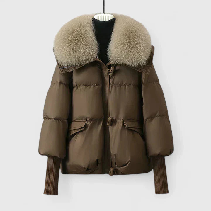 Brown / 2XL