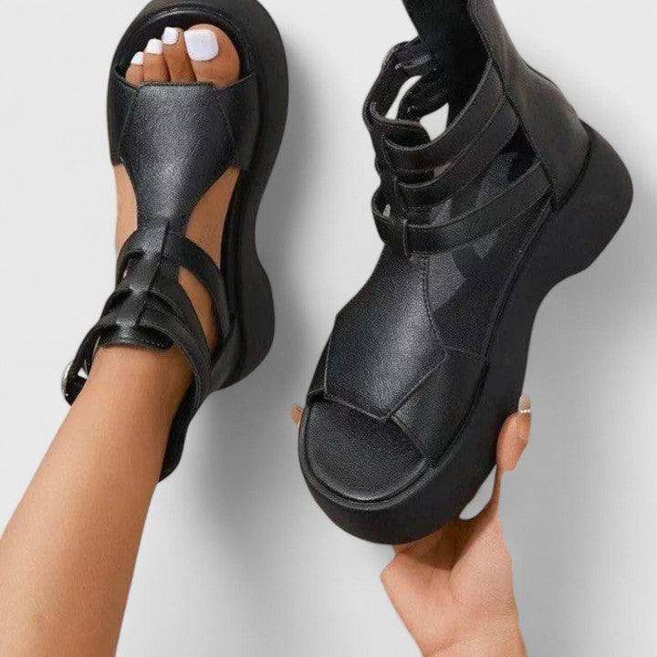 Black / 12
